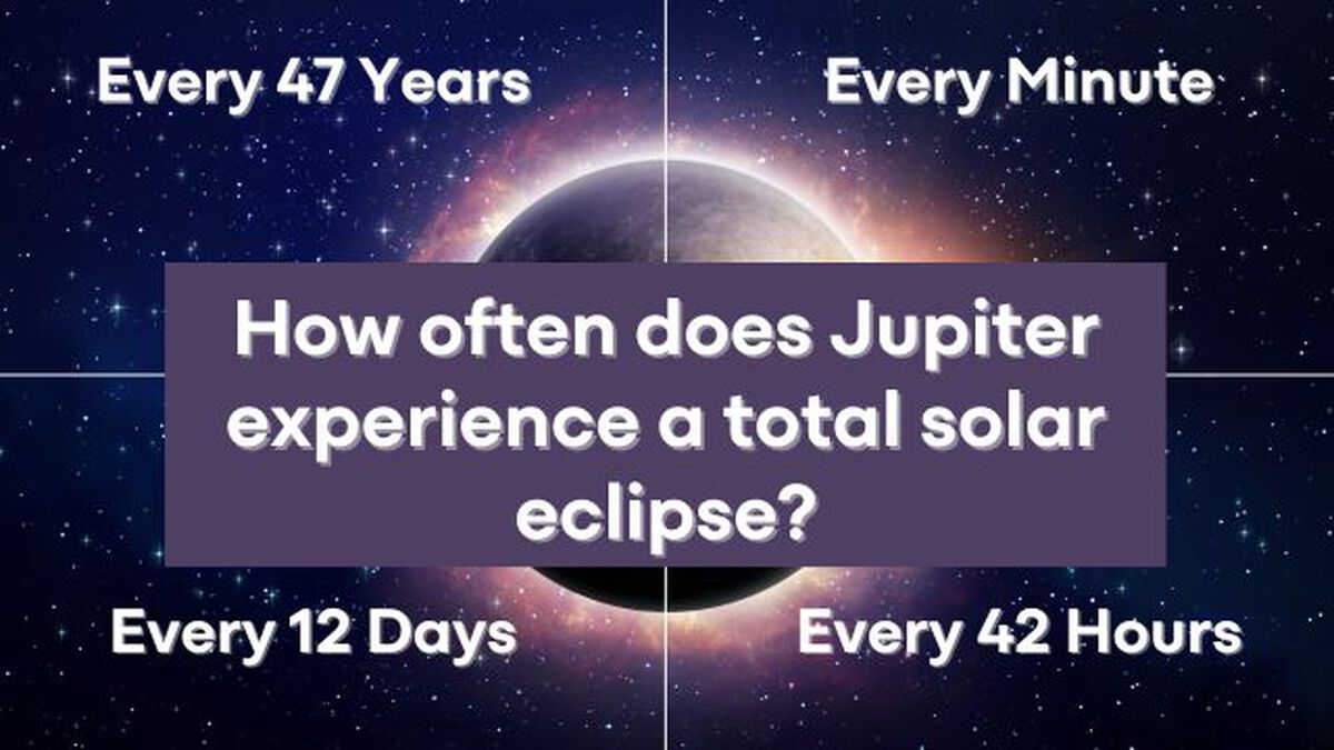 Total Eclipse Trivia 4 Corners Edition image number null